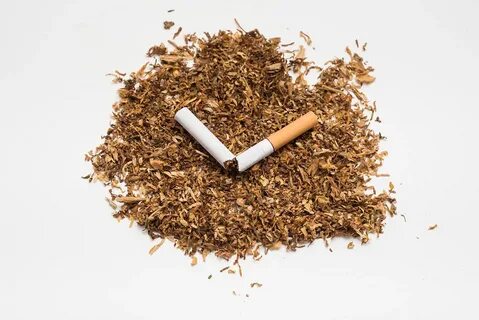 T tobacco