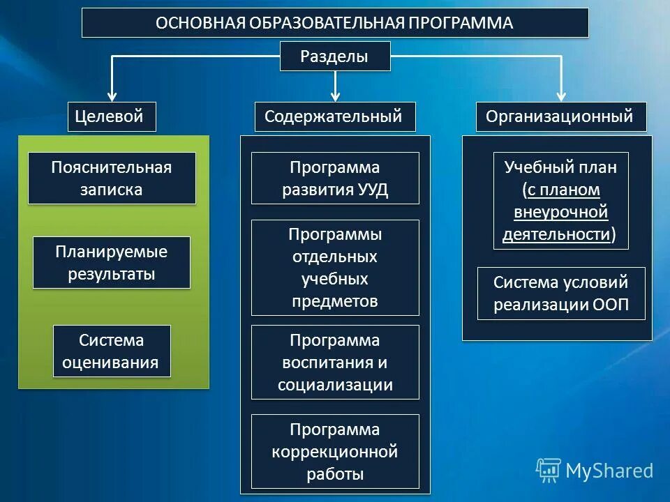 Основные цели программы лояльности. Примерная образовательная программа. Содержательная программа. Разделы программы начального общего образования. Ооп профессионального образования.