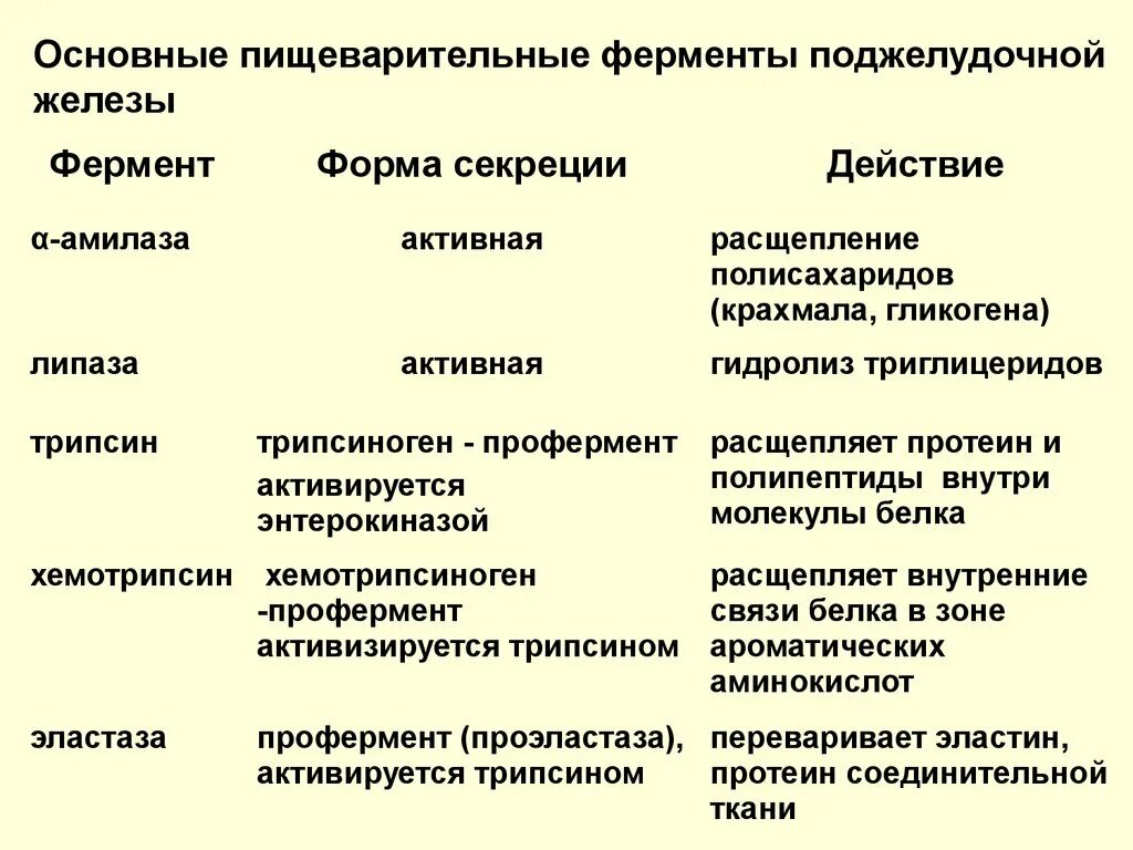 Охарактеризуйте пищеварительные ферменты сока поджелудочной железы. Неактивные ферменты поджелудочной железы. Ферменты выделяемые поджелудочной железой и их функции. Три основные ферменты поджелудочной железы. Имеет пищеварительные ферменты