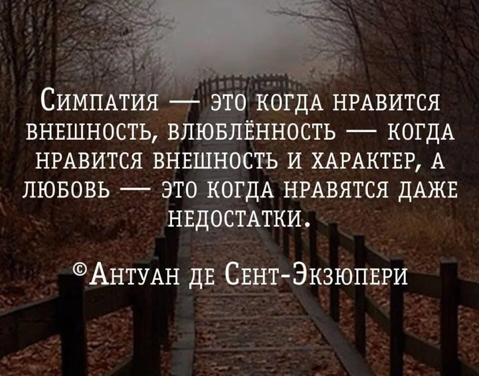 Жизнь люблю фразы. Высказывания о любви. Цитаты про любовь. Умные цитаты про любовь. Мудрые высказывания о любви.