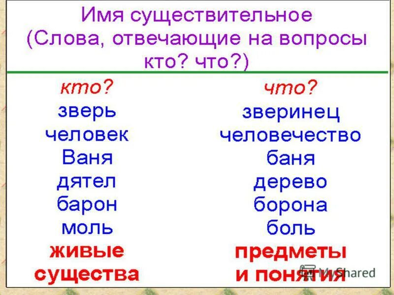 10 слов дополнительных. Имя существительное слова. Слова имени существительного. Слова имен существительных. Имена сущ слова.