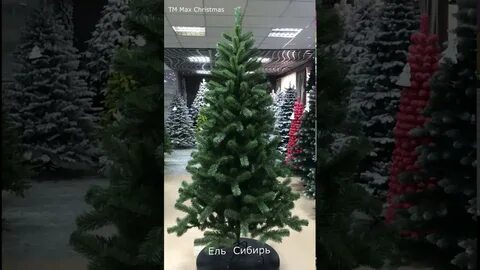 Max christmas отзывы