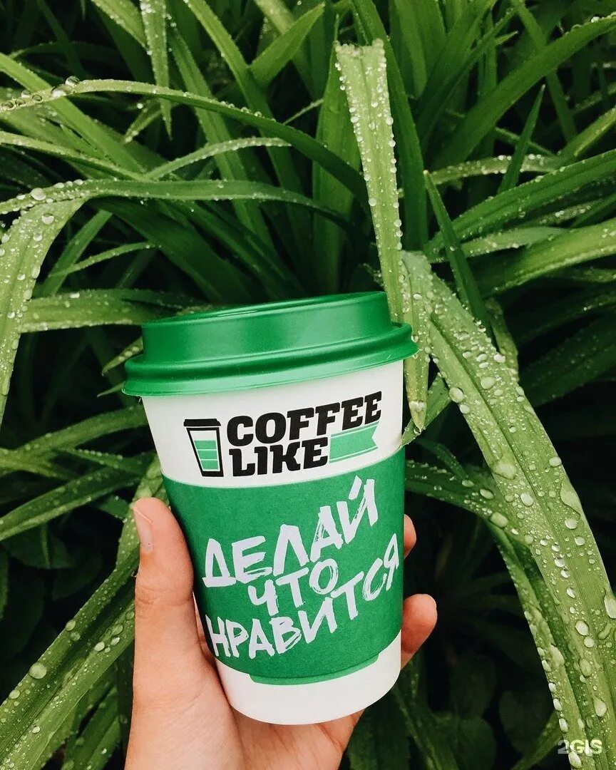 Кофе в ярче. Кофе лайк. Бариста Coffee like. Кофе лайк Салават. Кофе лайк лето.