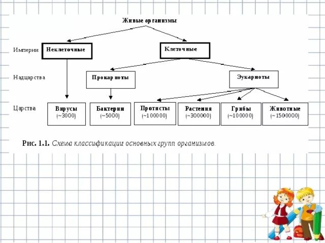 Составить классификацию выбранных организмов. Классификация живых организмов 5 класс биология. Схема современной классификации организмов. Классификация живых организмов схема. Систематика организмов схема.