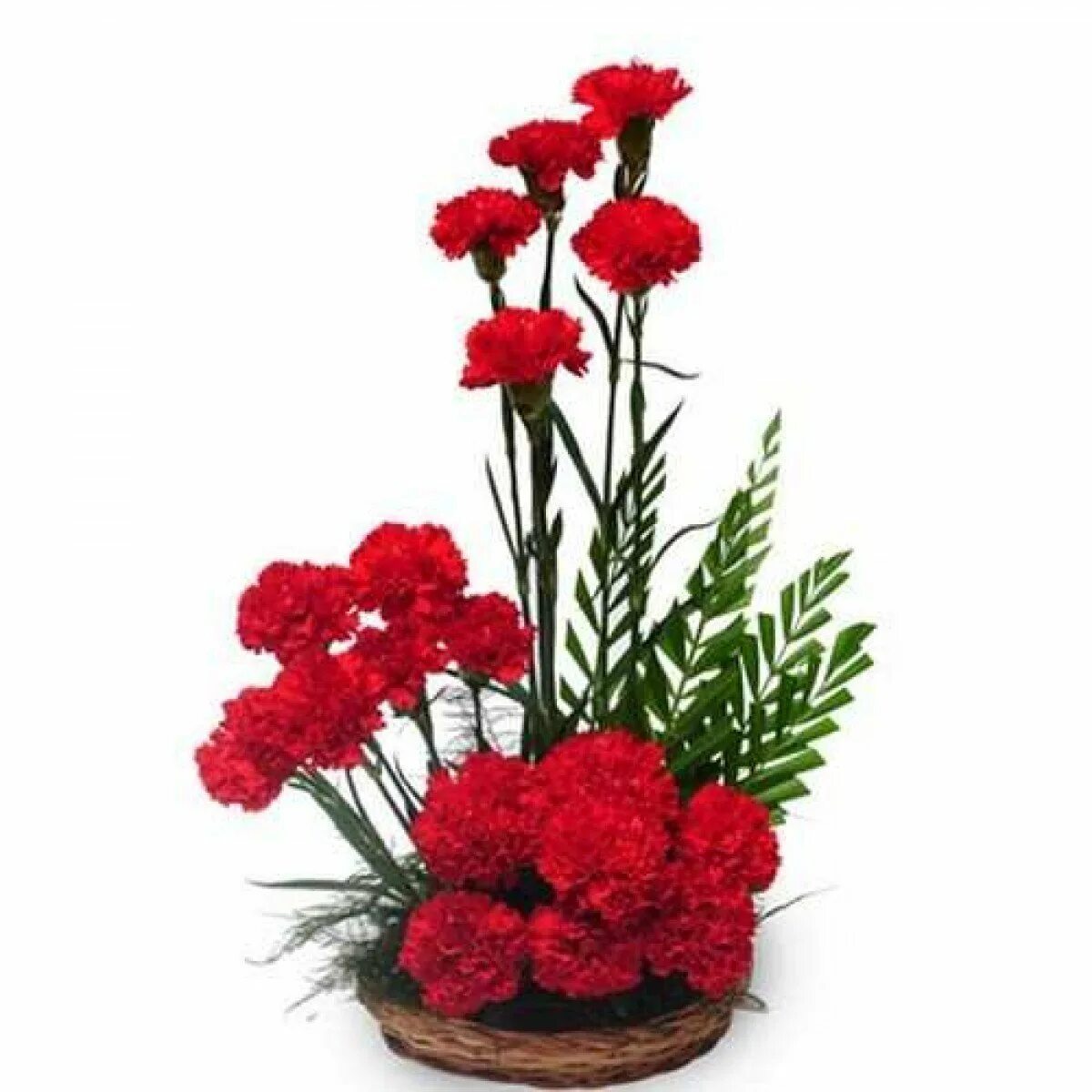 Гвоздики с доставкой. Гвоздика ikebana. гвоздика субакаулис. гвоздика select ikebana. композиция гвоздики.