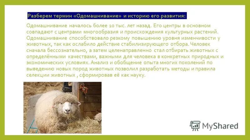 главным фактором одомашнивания растений и животных служит