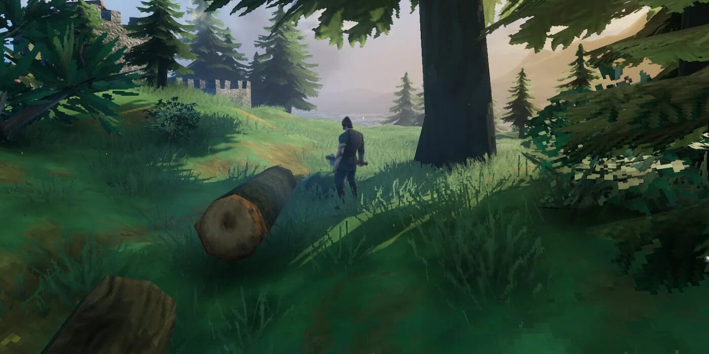 Walheim игра. Valheim (2021). Вальхейм скриншоты. Черный лес вальхейм. Valheim скриншоты.