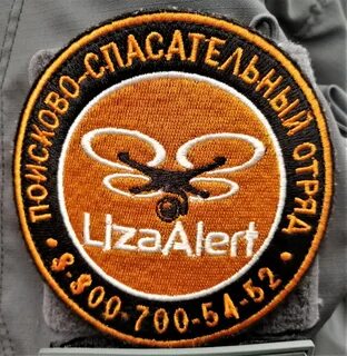 Liza alert