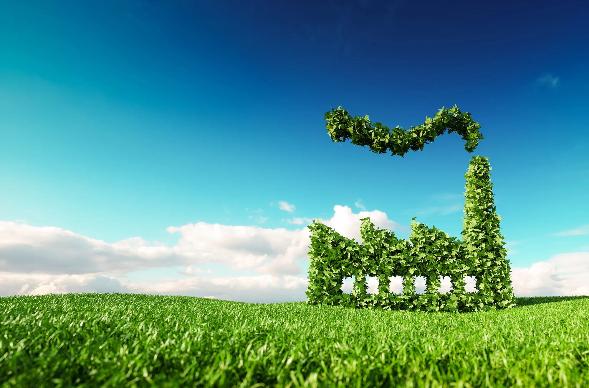 C get environment