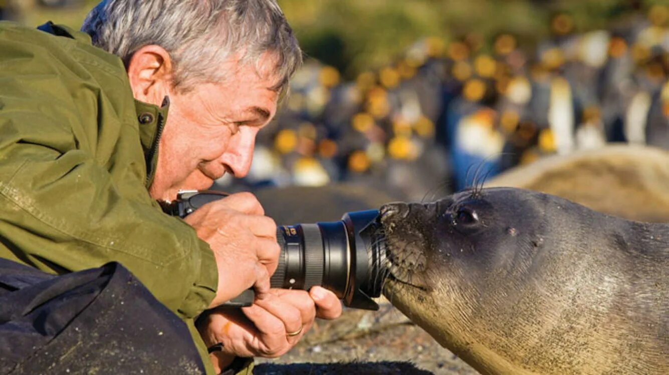 Фотограф National Geographic. Фотографы National Geographic с животными. Фотограф натуралист. Фотограф в экстремальных условиях. Фотографы дикой природы