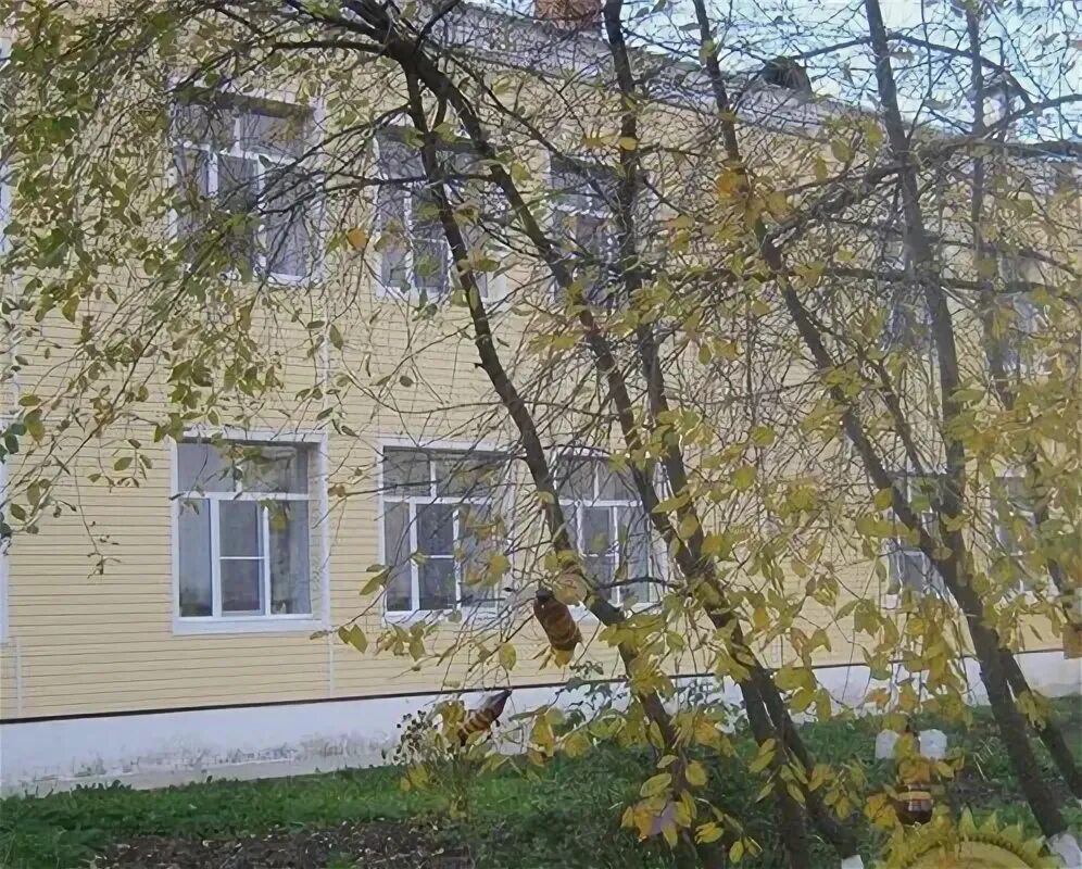 11 садик балаково. Д сад 11. Детский сад планета детства арзамас. Детский сад кировский район спб. Детский сад попова 42 люберцы.