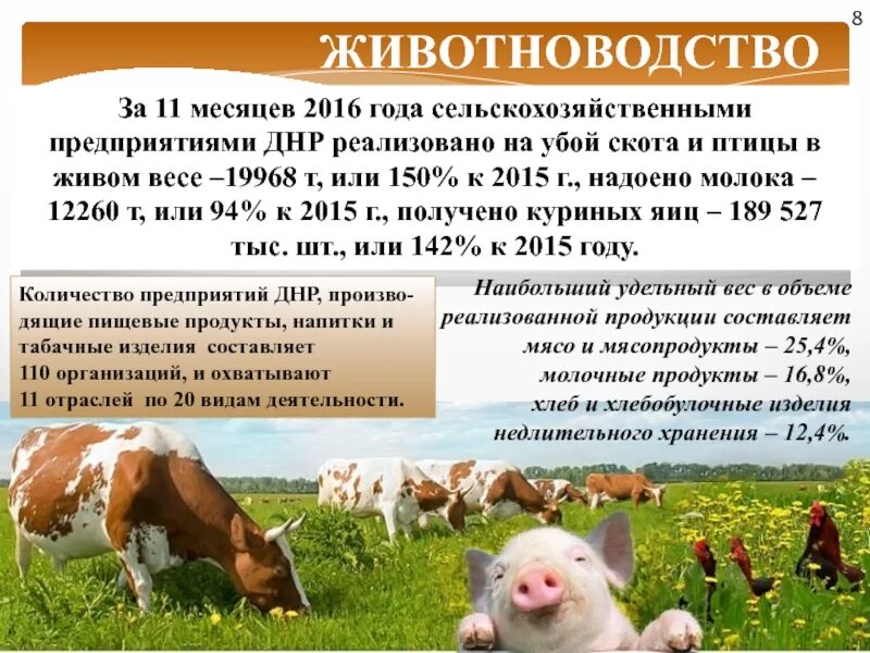 4 основные отрасли животноводства. Общая характеристика животноводства. перспективы развития скотоводства. проблемы животноводства. проблемы отрасли животноводства.
