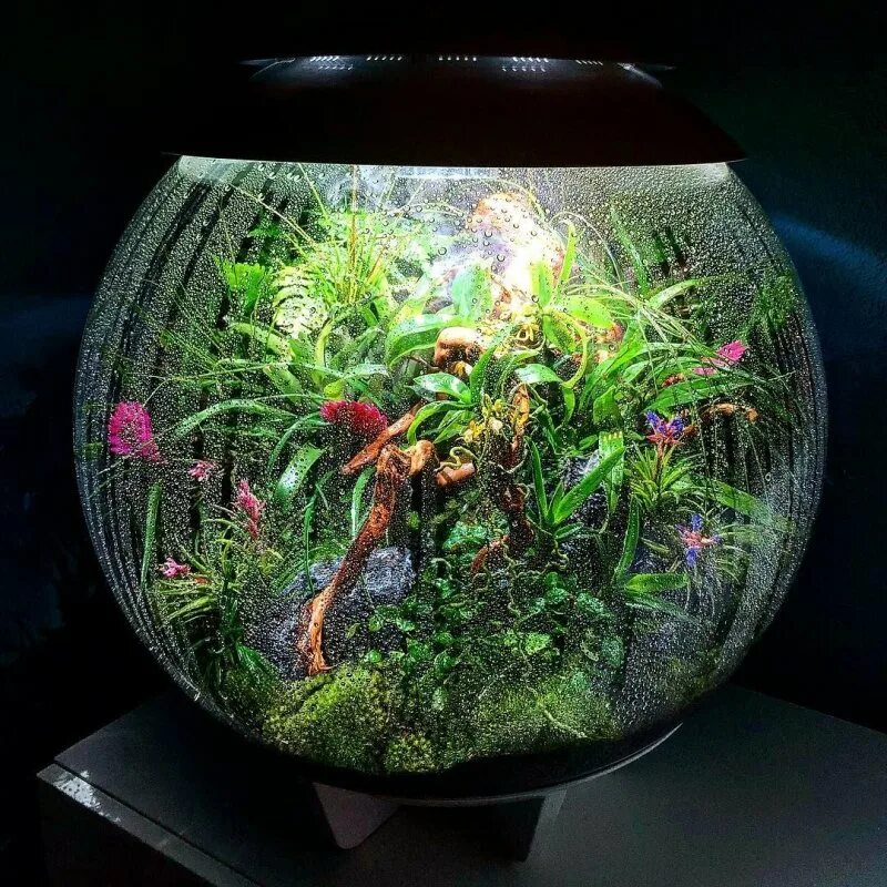 комнатный аквариум. палюдариум акваскейп. аквадизайн аквариумы. флорариум замкнутая экосистема. комнатный аквариум.