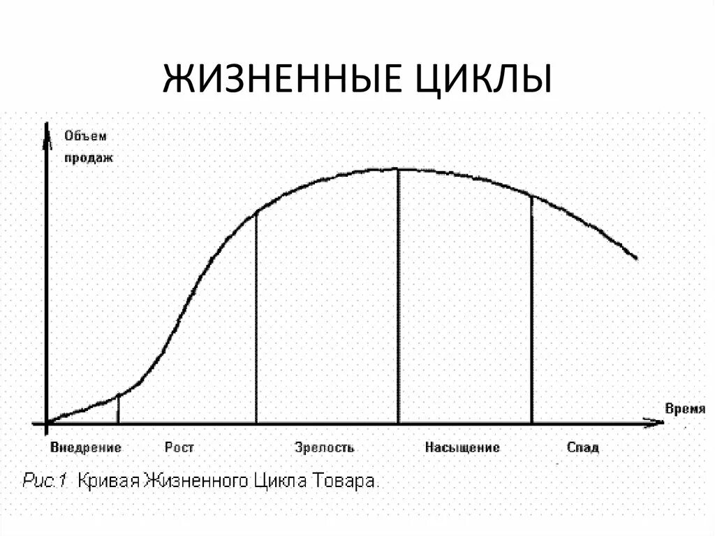 8 циклов жизни