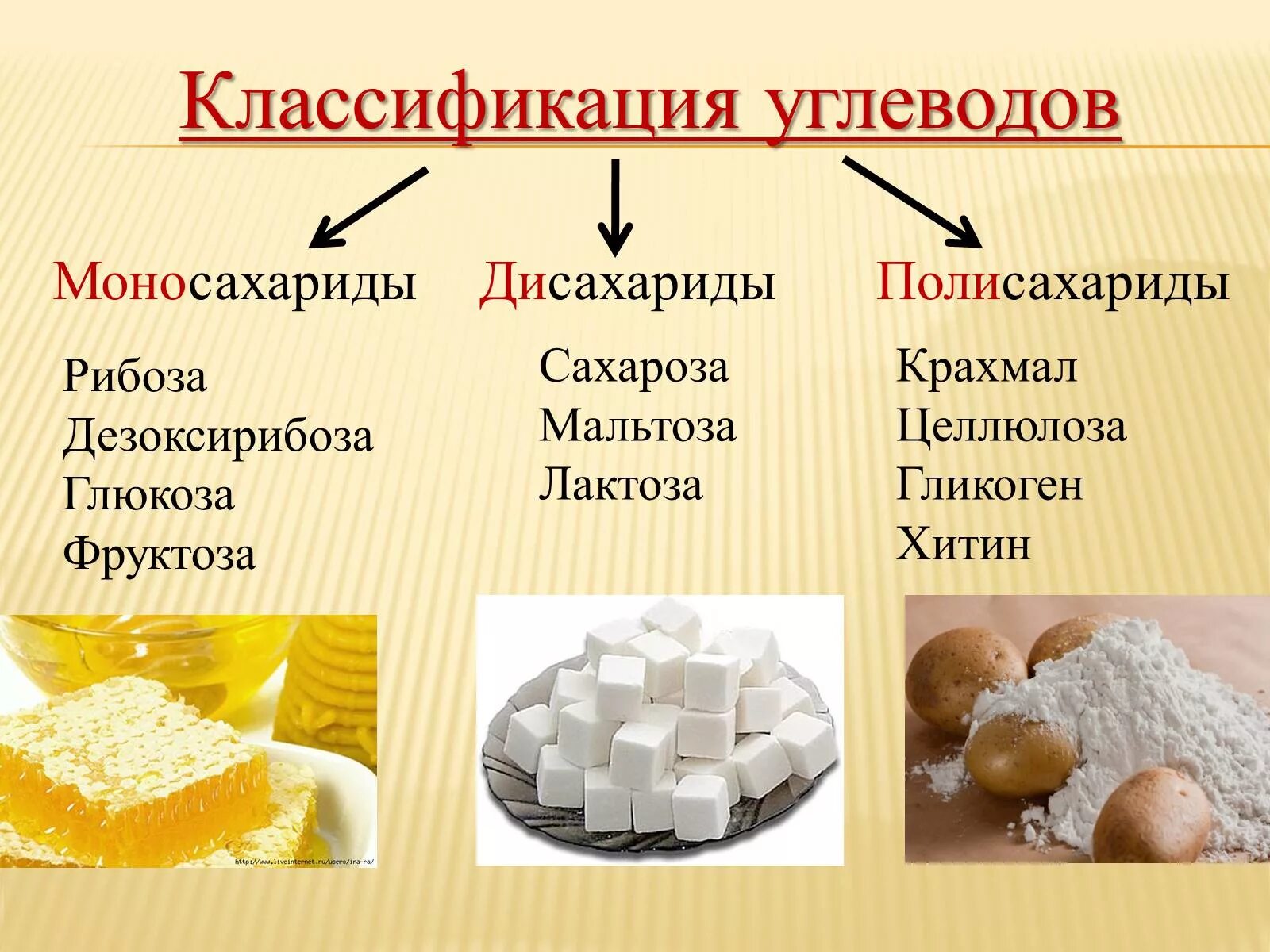 Мед какой углевод. Углеводы Глюкоза крахмал Целлюлоза. Углеводы органические соединения. Глюкоза фруктоза сахароза. Полисахариды продукты.