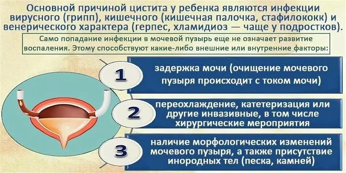 Цистит симптомы меры профилактики. Цистит у детей. Цистит у детей симптомы. Причины цистита у детей. Симптомы цитата у детей.