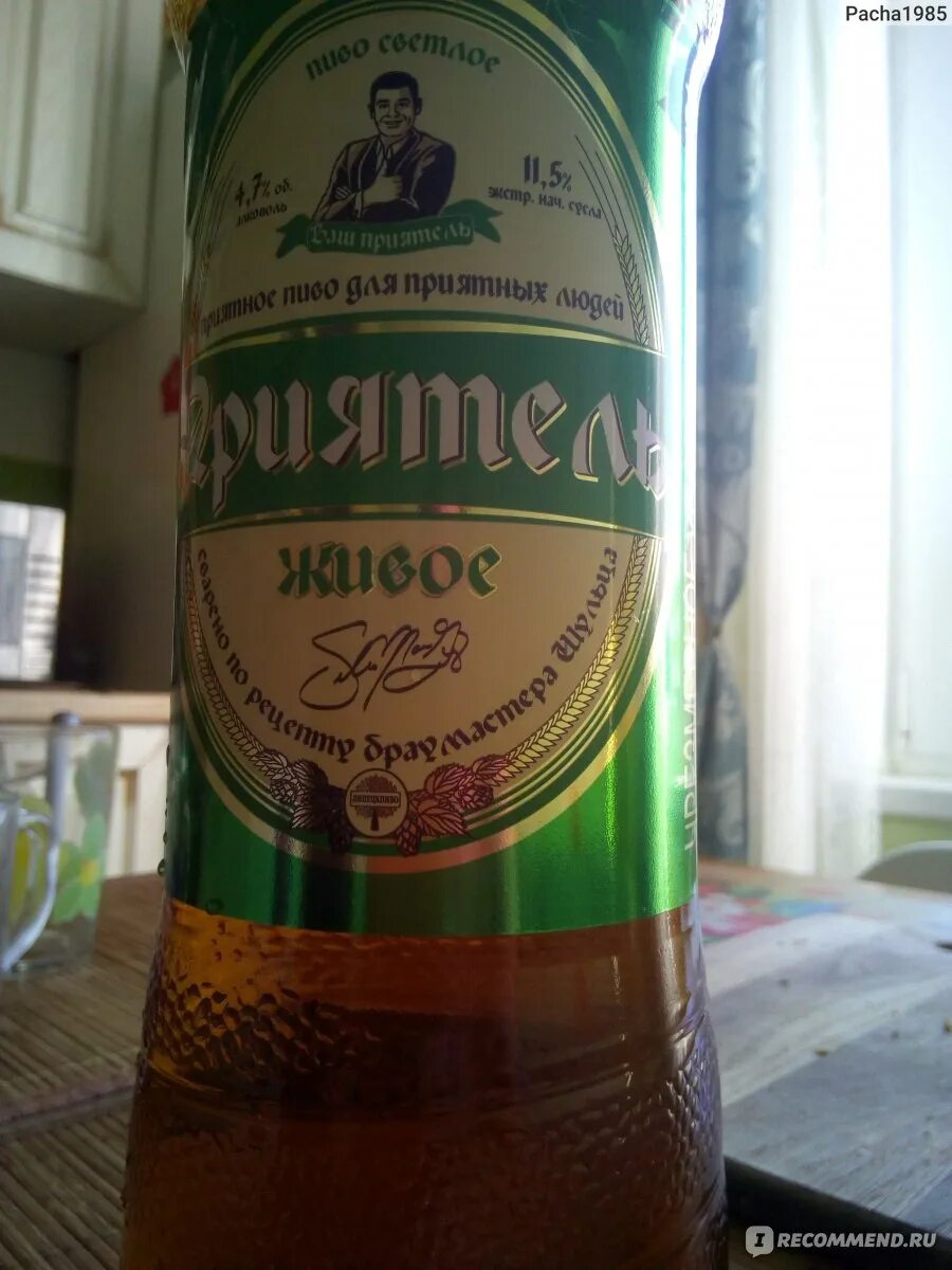 Приятель. Пиво приятель живое. пиво товарищ. buddy пиво. пиво приятель в пятерочке.