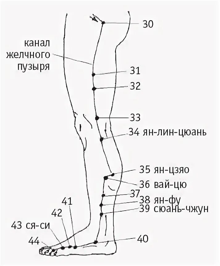 Акупунктурные точки желчного пузыря. Меридиан желчного пузыря точки. Меридиан желчного пузыря точки простукивание. 40 Точка меридиана желчного пузыря.