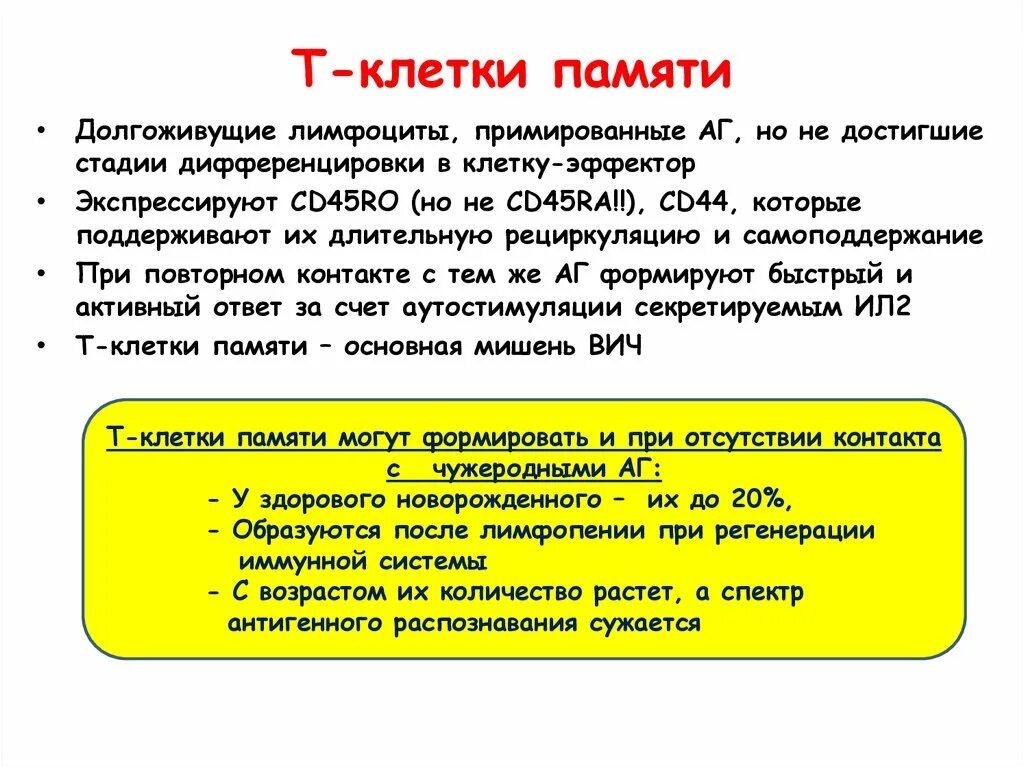 Т клетки памяти иммунология. Т клетки памяти функция. Т клетки иммунной памяти функция. Характеристика т-клеток памяти. Т клетки образуются