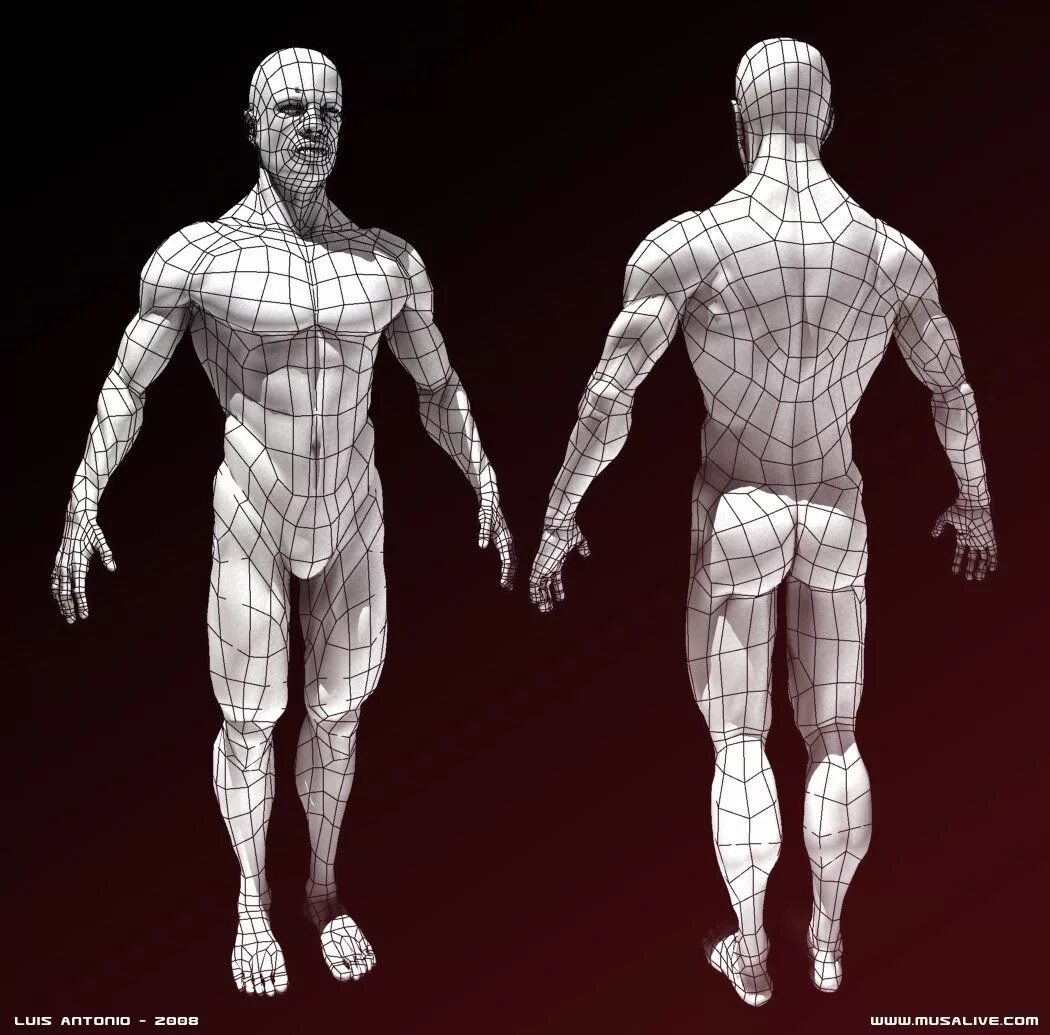 Сетчатое тело. Ретопология в Blender. 3д модель человека Низкополигональная. Модель человека для моделирования. Трехмерная модель человека.