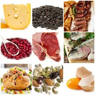 Белки это какие продукты питания