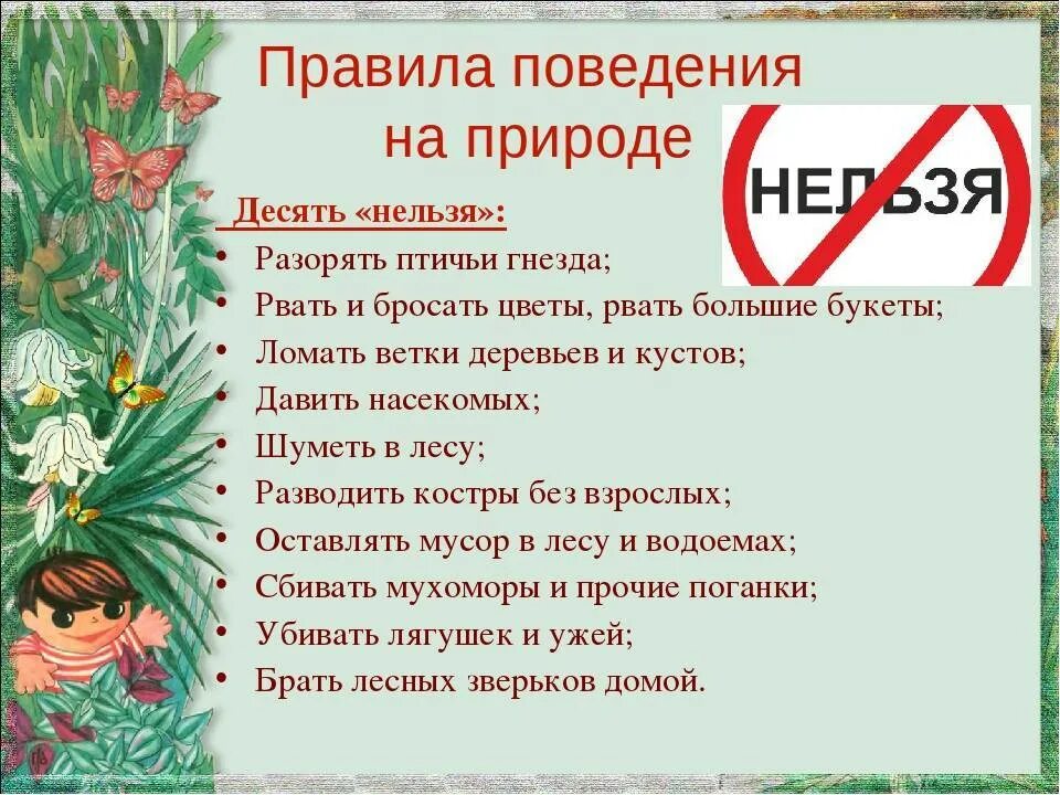 Правила поведения на природе. Правила поведения на приро. Правила поведения намприроде. Правила поведения YF природе. Почему нельзя срывать