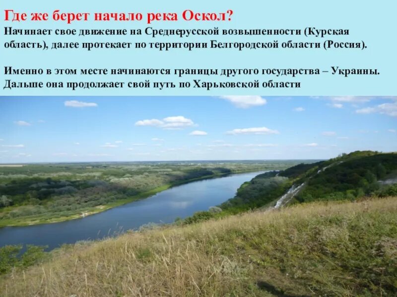 Откуда берет начало р. Исток реки Оскол в Белгородской области. Река Оскол Белгородской области Исток реки. Схема реки Оскол в Старом Осколе. Реки протекающие Белгородской области.