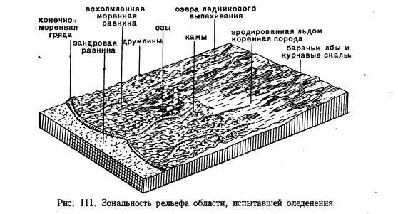 балтийский щит форма рельефа. балтийский тектонический  щит форма рельефа. канадский щит лаврентийская возвышенность. таблица тектонические структуры формы рельефа. щит форма рельефа.