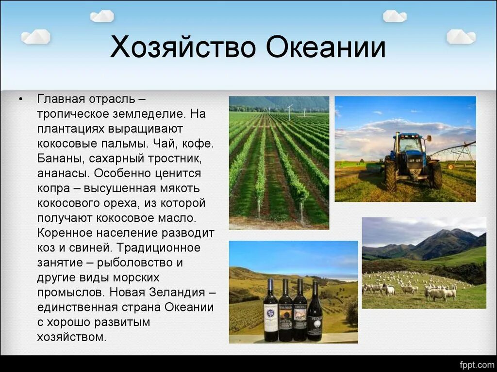 Хозяйственная деятельность населения океании. Океания сельское хозяйство. хозяйство австралии и океании. хозяйство австралии и океании кратко. сельское хозяйство австралии и океании.