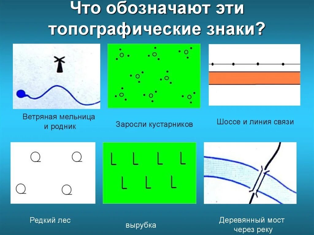 Топографические знаки 5. Топографический знак заросли кустарника. Топографические знакики. Кустарник на плане местности. Условные знаки плана местности.