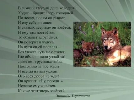 Верь зверь