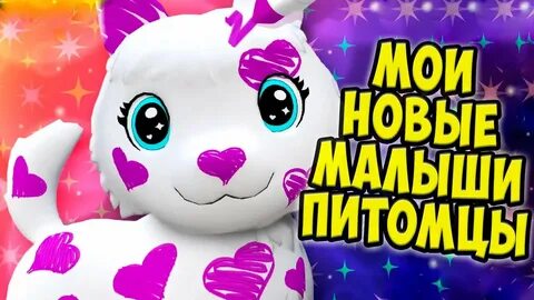 Новый питомец видео