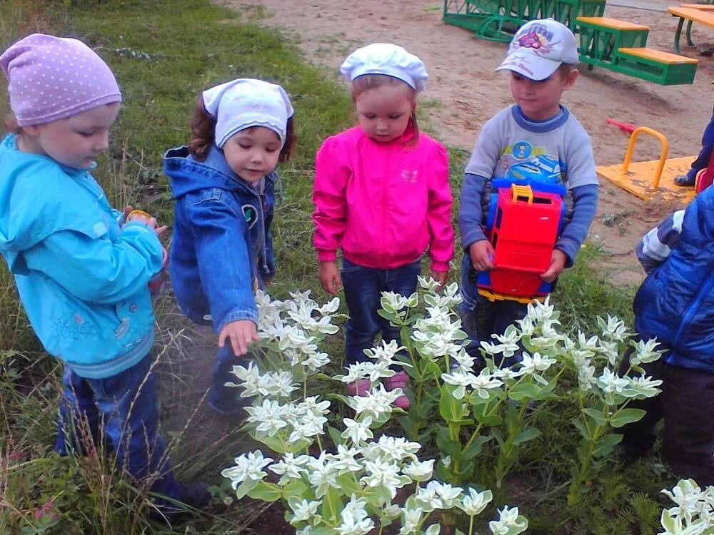 Ознакомление детей с природой. Наблюдение в детском саду. Дети наблюдают за природой. Дошкольники на прогулке. Ознакомление с окружающим младшая группа март