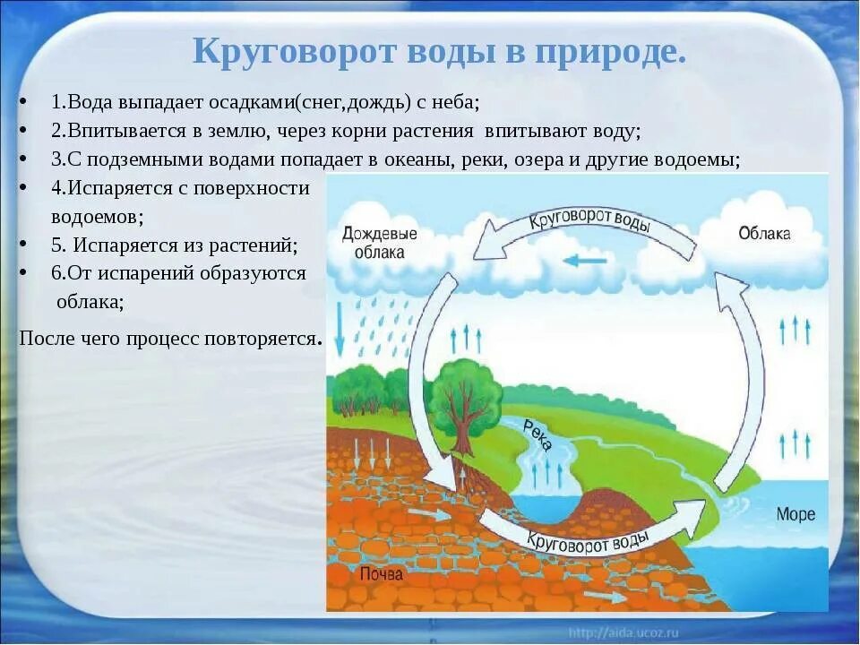 В течение реки много водоворотов впр ответы. Круговорот воды в природе 5 класс география. Круговорот воды в природе химия 8 класс. Круговорот воды в природе 6 класс география. Этапы круговорота воды в природе окружающий мир 3 класс.