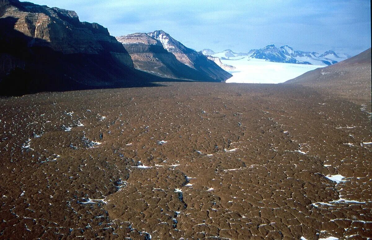 Антарктические почвы. Долина Мак Мердо в Антарктиде. Сухие Долины Мак-Мердо. Пустыня Мак Мердо. Сухие Долины Мак-мёрдо Антарктида.