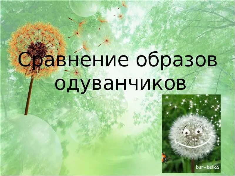 О и высоцкой одуванчик. Александрова одуванчик. Литературное чтение одуванчик. Одуванчик 3 класс литературное чтение. Сравнение одуванчиков.