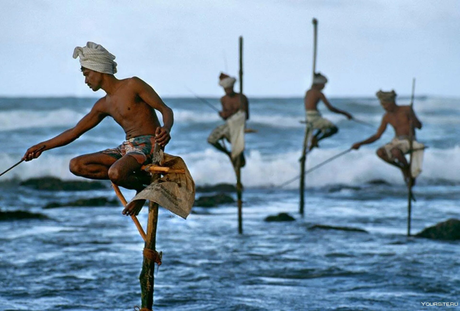 Стив МАККАРРИ рыбаки. Стив Маккари Шри Ланки. Рыбаки на Шри Ланке на шестах. Велигама Шри Ланка рыбаки. Ее поймало племя аборигенов