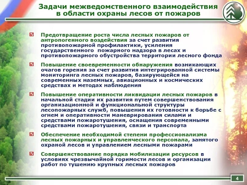 Мероприятия по защите лесов. Задачи межведомственного взаимодействия. Мероприятия по охране лесов от пожаров. Мероприятия по сохранению леса.