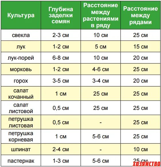 Глубина посадки семян моркови. Глубина заделки семян моркови при посеве. Глубина посева семян огурцов. Глубина посева семян гороха.