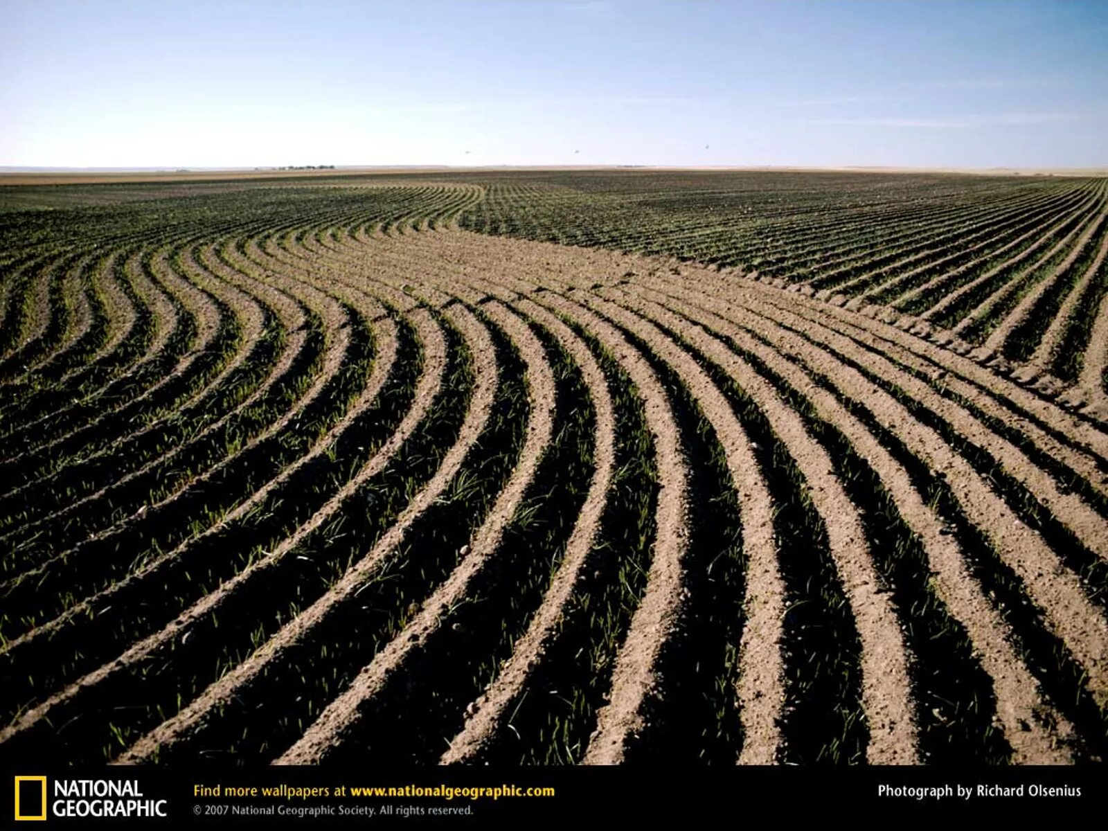 Какой тип почвы в степной зоне. Степная почва. Плодородные степи. Почвы степи в России. Почвы степей фото.
