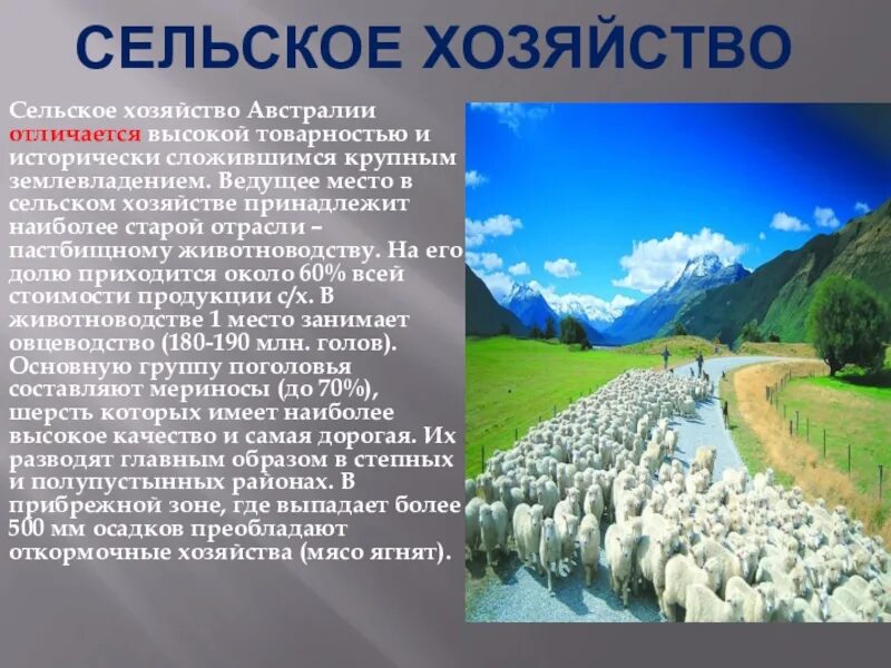 хозяйства местного населения. индийский чай. земледельцы в древней руси. сельское хозяйство индонезии. зеленая революция в индии.