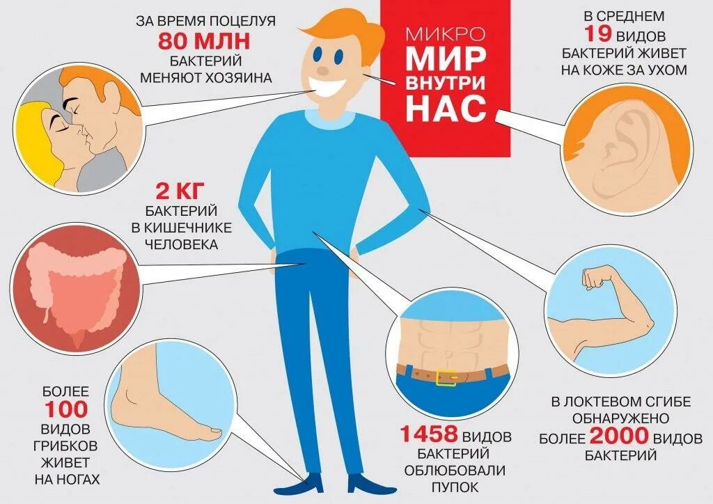 Где в организме человека больше всего бактерий. Сколько микроорганизмов в теле человека. Сколько бактерий в организме человека. Сколько бактерий в человеке количество.