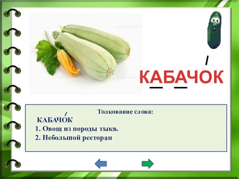 Предложение со словом овощи. Надпись кабачок. Загадка про кабачок. Загадка про кабачок для детей. Кабачок словарное слово.