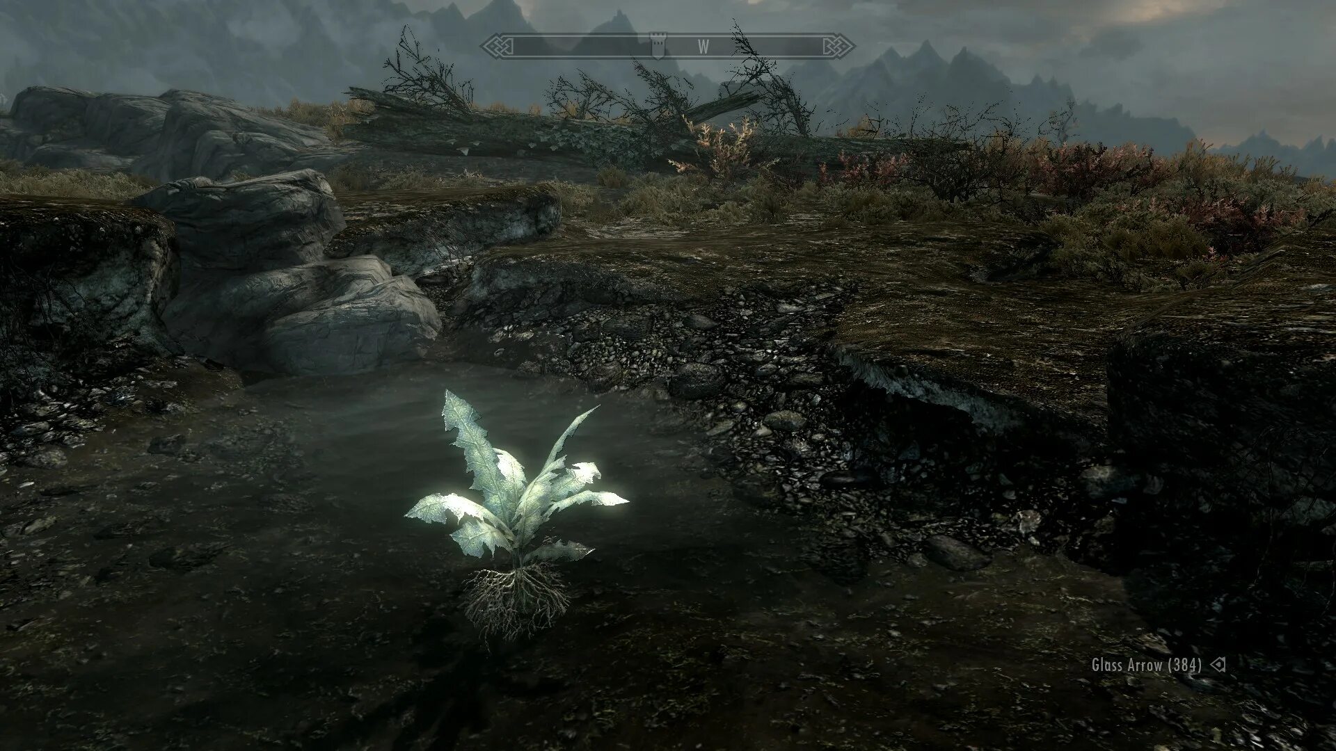 Synthesis skyrim. Корень нирна. корень нирна oblivion. skyrim корень нирна. корень нирна морровинд.