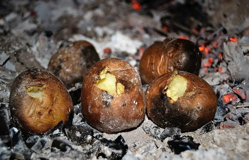 печеная картошка в угл. сколько картошку в углях. печеная картошка из костра. печеная картошка на костре. картошка на углях.