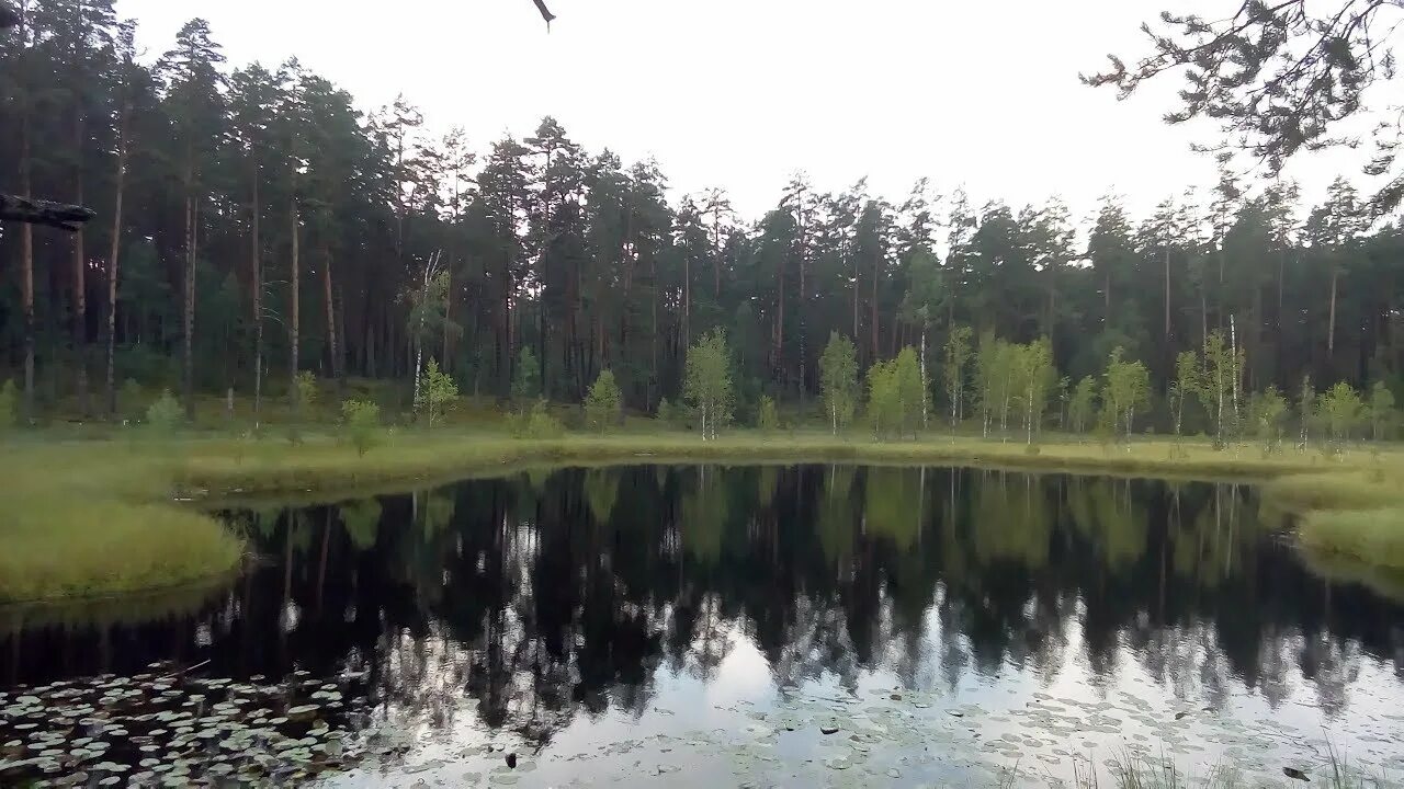 Святое озеро тумботино. Святое тумботинское озеро. Тумботинское озеро нижегородская область. Тумботинское озеро нижегородская область. Тумботинское озеро нижегородская область.