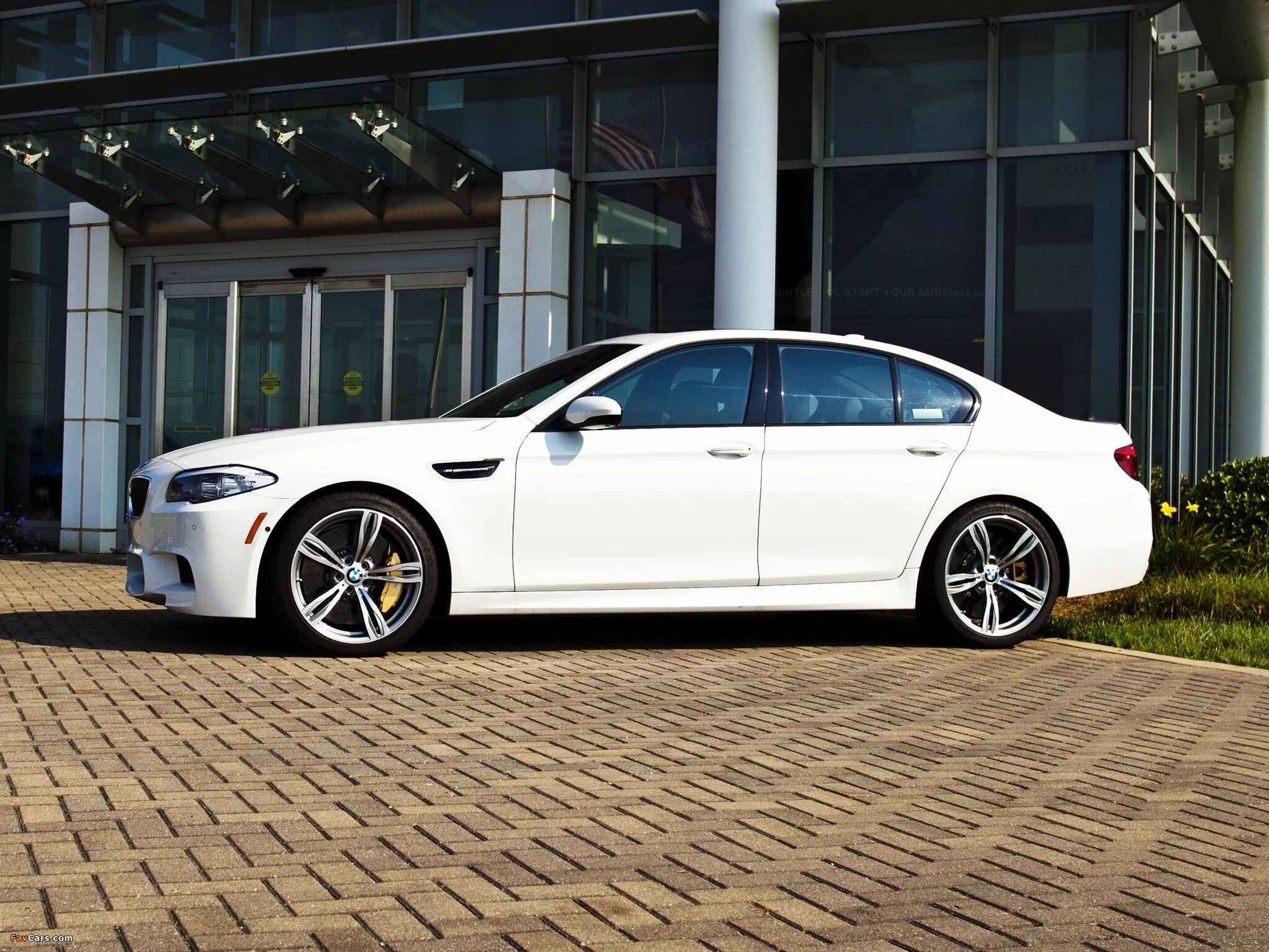 F10 8. Бмв м5 белая. bmw m5 белая. бмв м5 f10 белая. bmw f10 белая.
