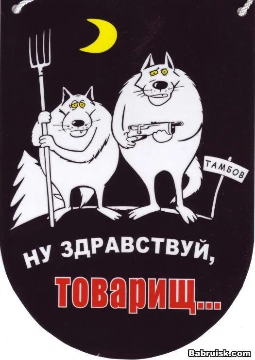 Ну здравствуй. Тамбовский волк ну здравствуй товарищ. Здравствуйте прикол. Здравствуй новое утро. Ну что же здравствуй вот и я.