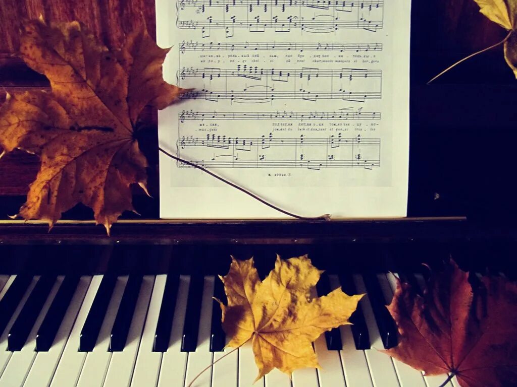 Нота грусти. Пианино и листья. Пианино и осенние листья. Рояль листа. Осенние листья на рояле.