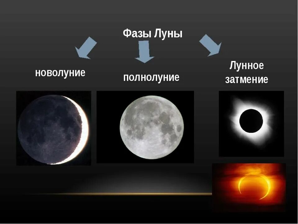 Новолуние и полнолуние. Фазы Луны новолуние. Стадии затмения Луны. Фазы лунного затмения.